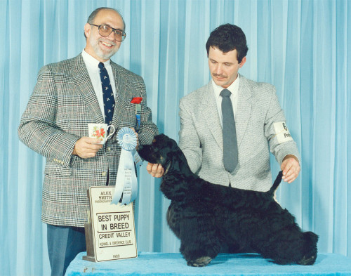 80-006