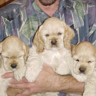 calif2002 03