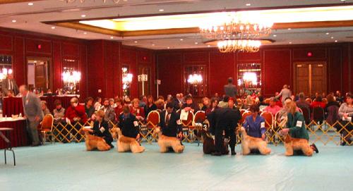 calif2003asc04