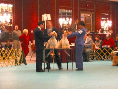 calif2003asc05