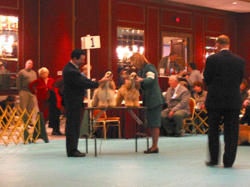 calif2003asc06