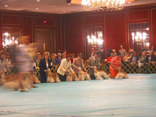 calif2003asc08