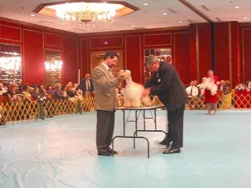 calif2003asc11