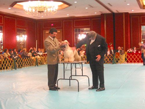 calif2003asc12