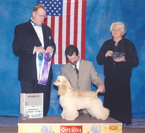 califasc2003 01