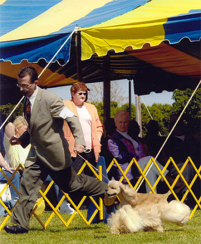 calif2005 06